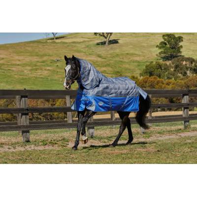 Medium Horses & Ponies Weatherbeeta Comfitec Premier Trio Detach-a-Neck Medium Horses & Ponies Weatherbeeta Comfitec Premier Trio Detach-a-Neck